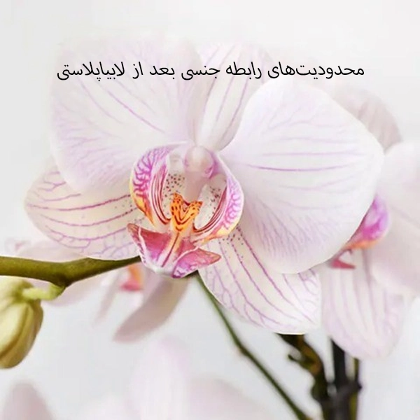 مشکلات رابطه جنسی بعد از لابیاپلاستی